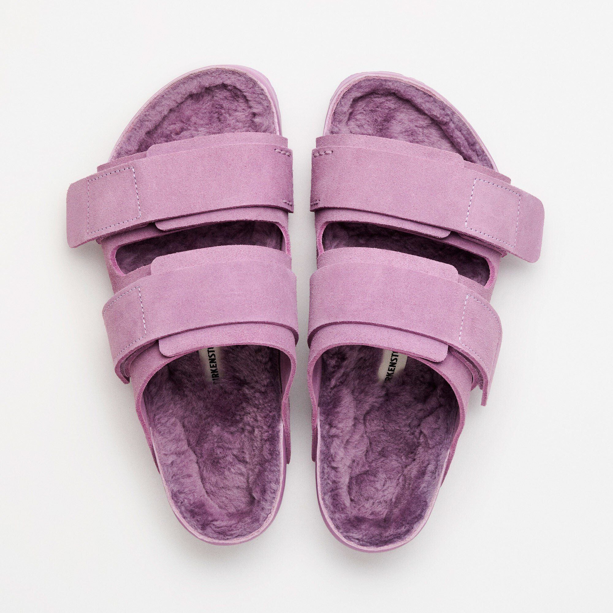 Uji Suede Tekla Suede Leather