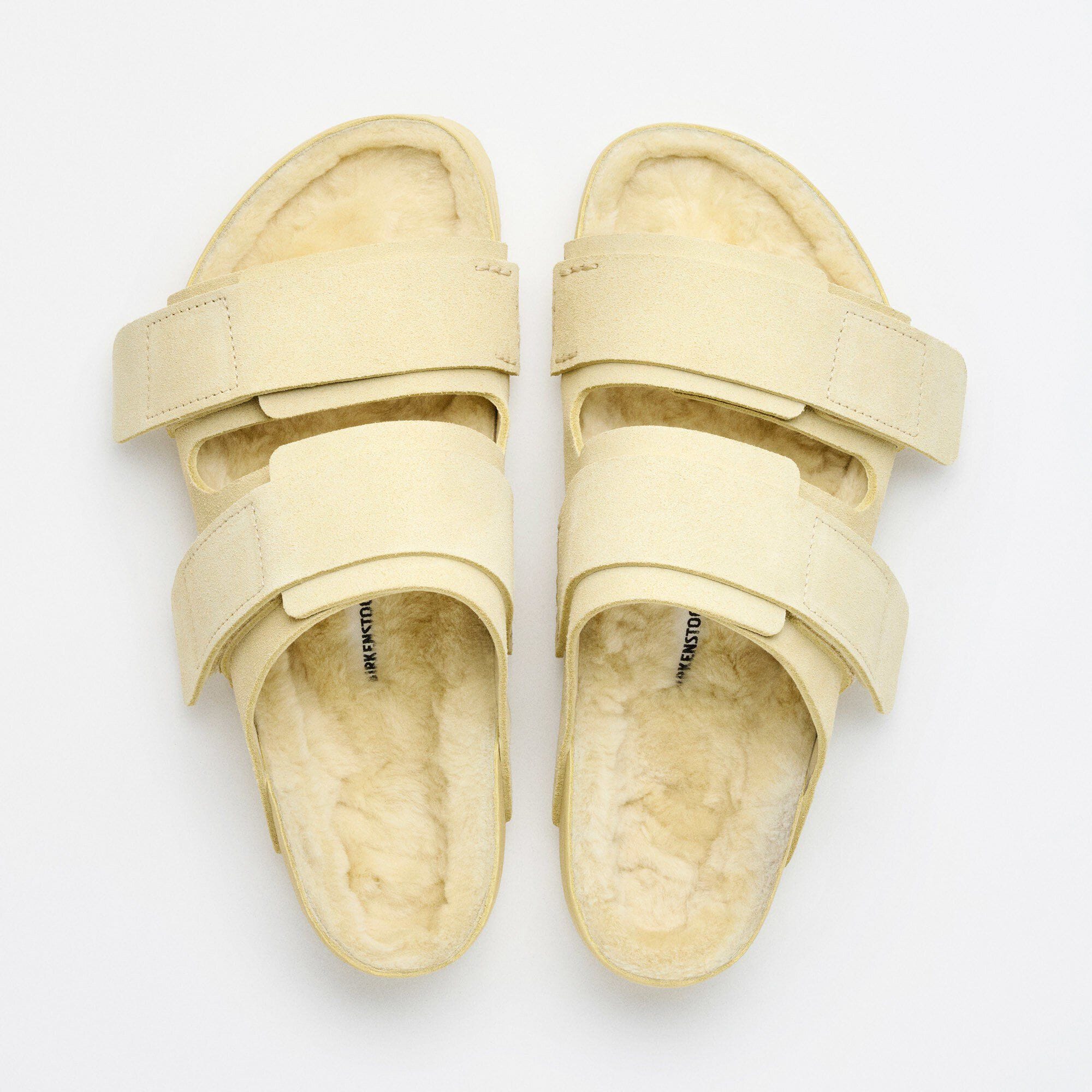 Uji Suede Tekla Suede Leather