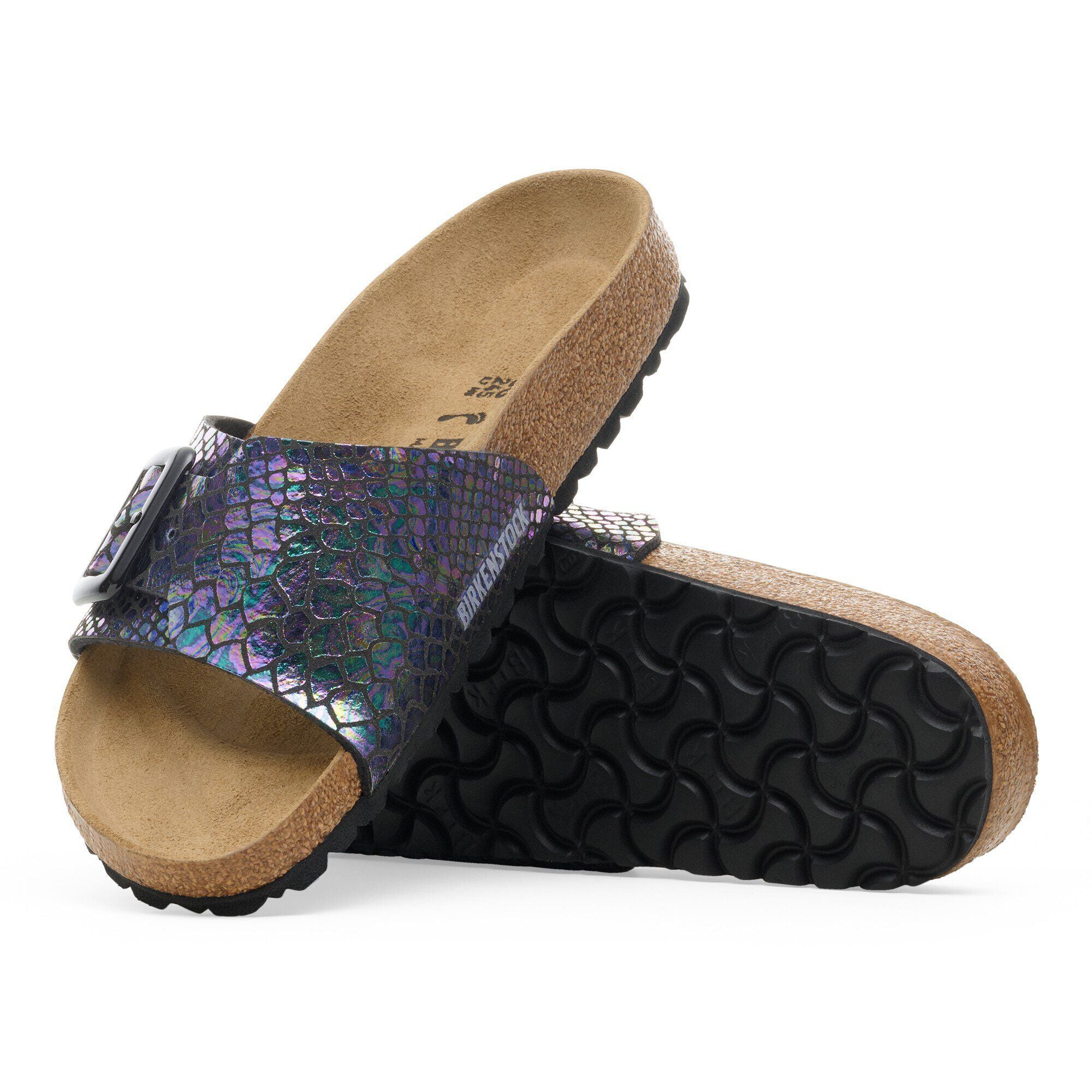 Catalina Luxe Buckle Synthetics Shiny Snake Black