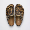 1774 Boston Fur Classic Leo