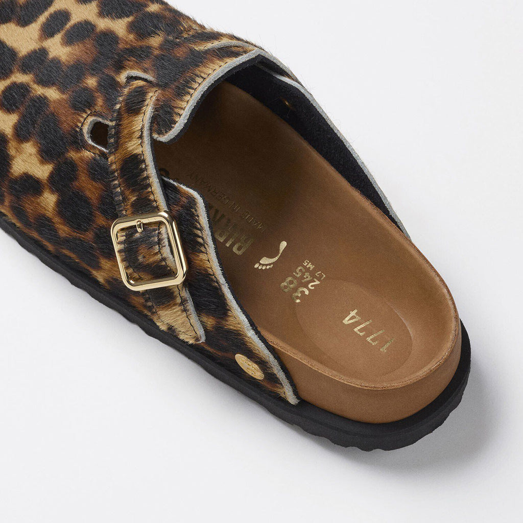 1774 Boston Fur Classic Leo
