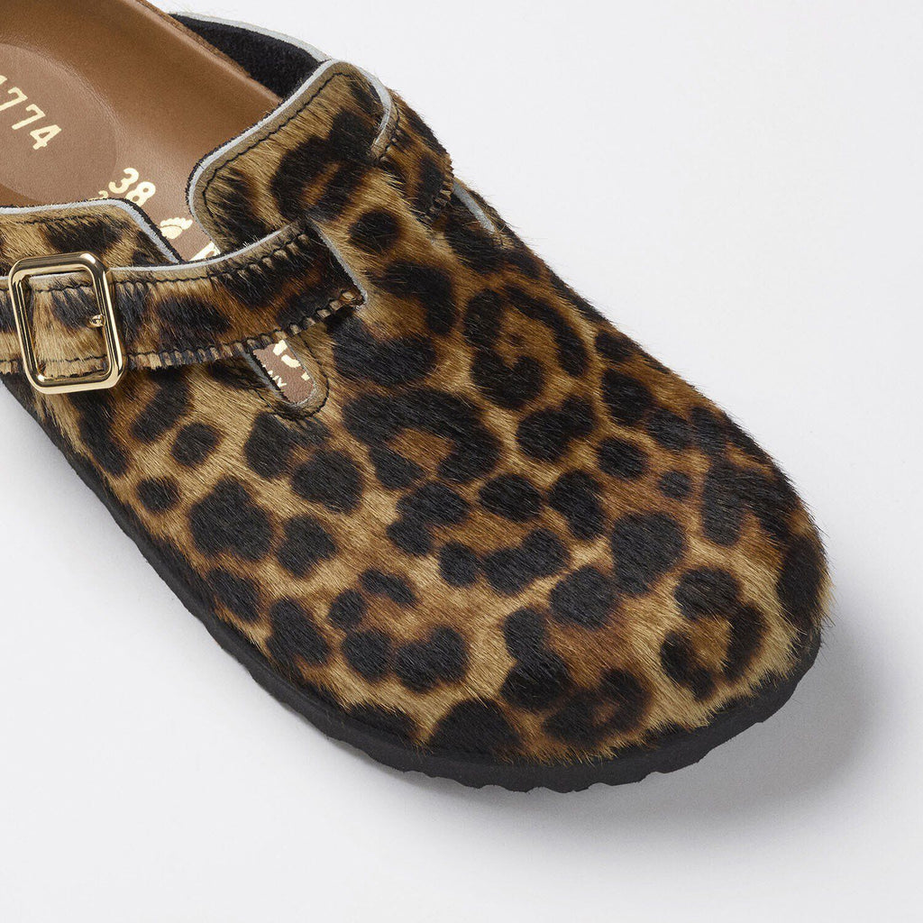 1774 Boston Fur Classic Leo