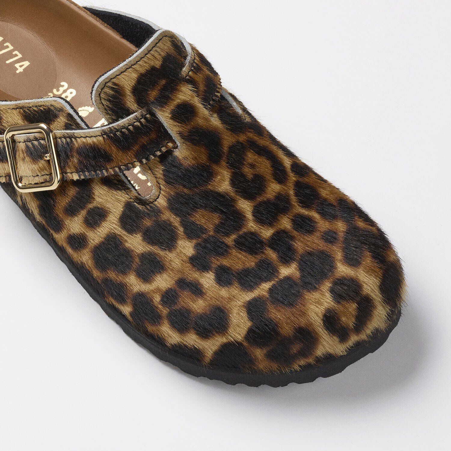 1774 Boston Fur Classic Leo