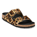Arizona Fur Classic Leo