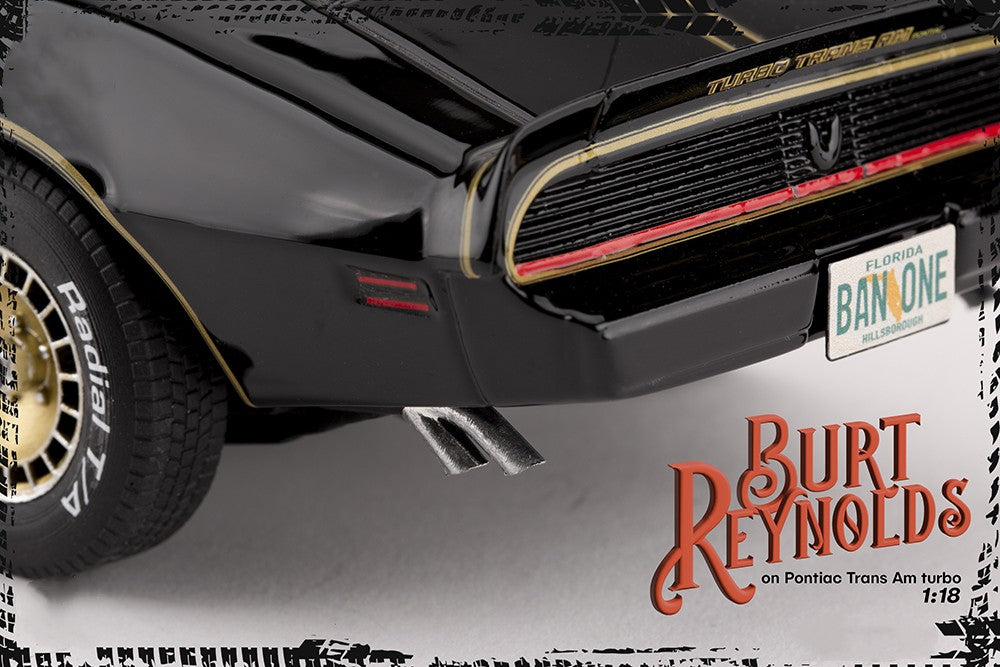 Burt Reynolds on Pontiac Firebird Trans Am 1980 - FREE SHIPPING